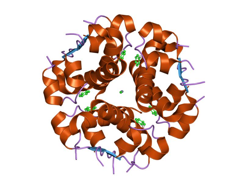 File:PDB 1qiy EBI.jpg