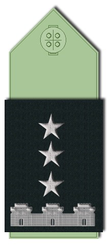 File:Pala Coronel de Gendarmería.jpg