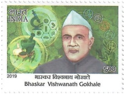 File:Bhaskar Vishwanath Gokhale - 2019 Stamp.png