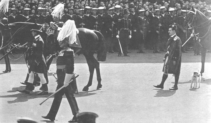 File:Edward VII Funeral Charger and Caesar (cropped).jpg