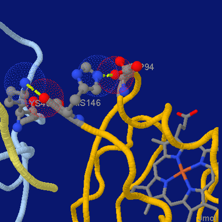 File:Jmol screenshot hemoglobin.png