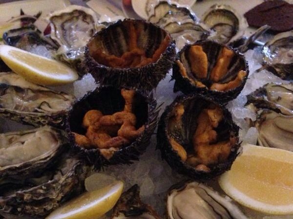 Файл:Sea urchins served amid oysters.JPG