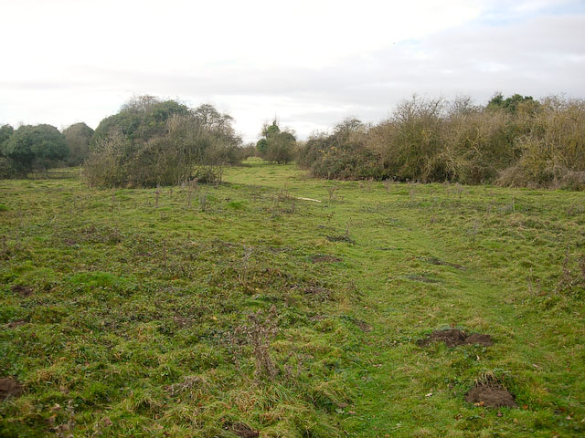 File:Great Wilbraham Common - geograph.org.uk - 1046845.jpg