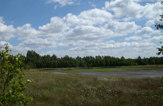 Файл:Grambower moor.jpg