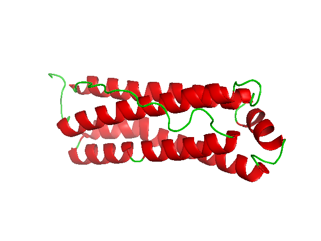 File:Mitochondrial Ferritin.png