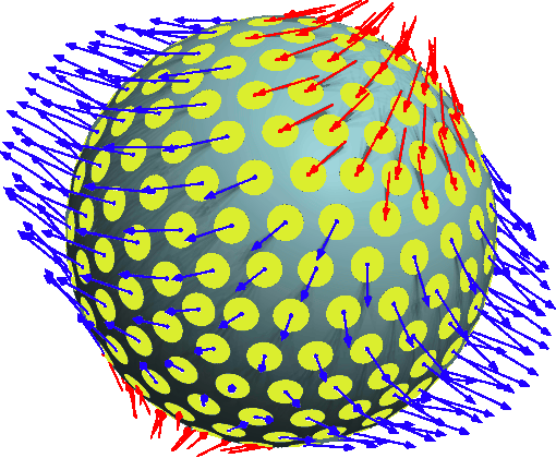 File:Cmec stress ball f02 t6.png