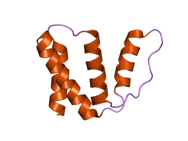 File:PDB 1hb6 EBI.jpg