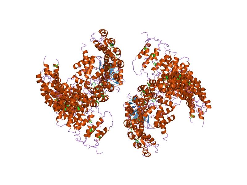 File:PDB 2nyl EBI.jpg