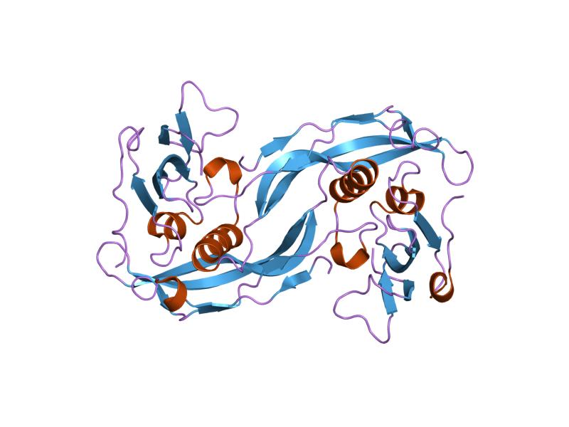 File:PDB 1rew EBI.jpg