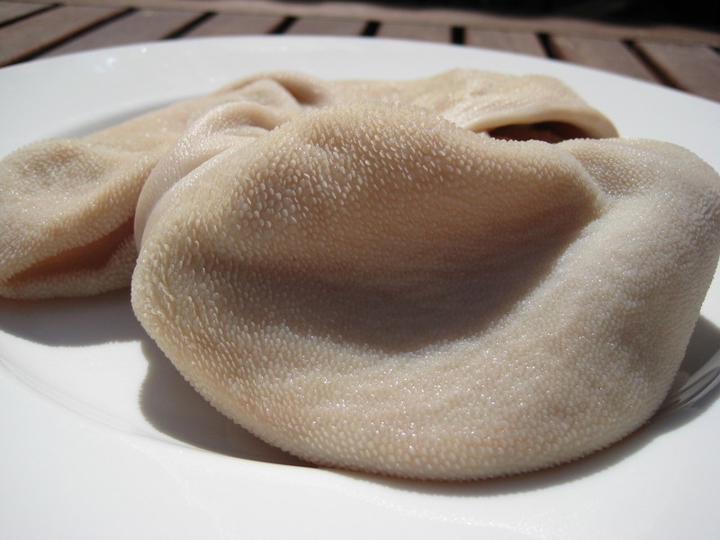 File:Rumen-blanket1.jpg