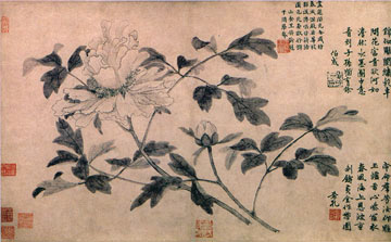 Файл:Wang Qian, Peony.jpg