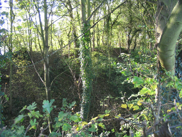 File:Ongar Castle, Essex - geograph.org.uk - 78216.jpg