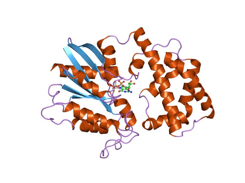 File:PDB 1gfi EBI.jpg