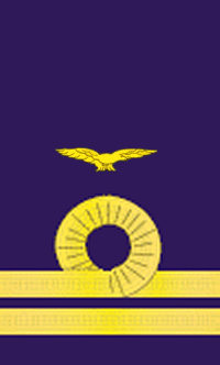 File:RNAS Flt Lt.png