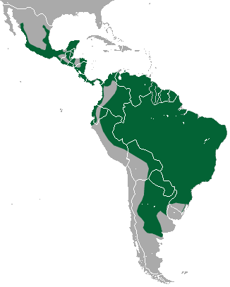 Archivo:Jaguarundi area.png