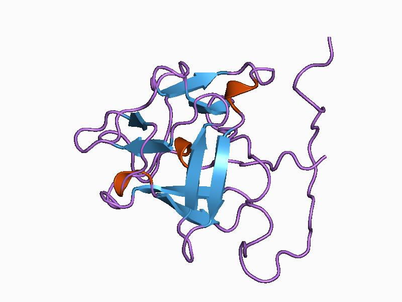 File:PDB 1bla EBI.jpg