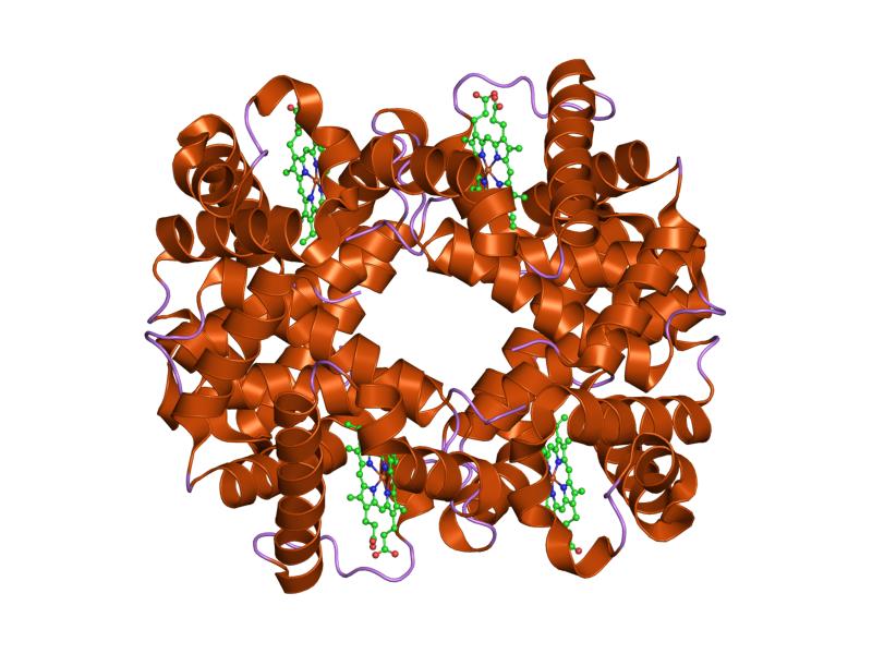 File:PDB 1xy0 EBI.jpg