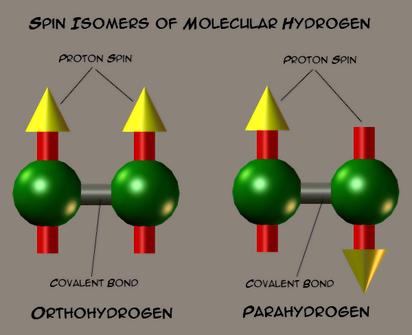 Файл:Spinisomers of molecular hydrogen.png