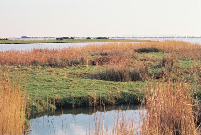 File:Stanpit Marsh - geograph.org.uk - 503974.jpg