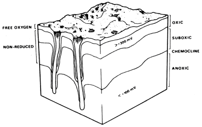 File:Chemoclines.png