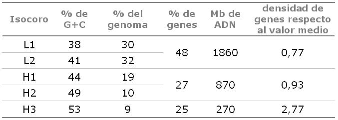 Archivo:Isócoros1.JPG