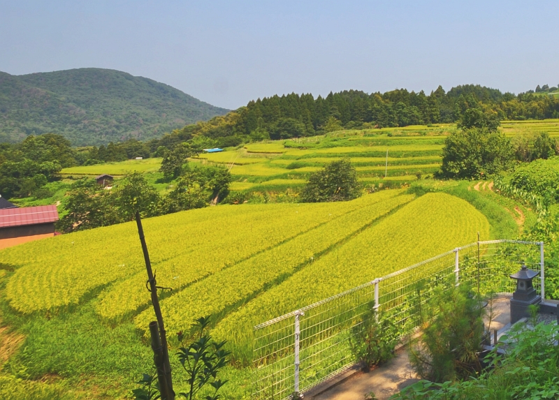 File:Tanada-Yokoo-Iwami-Tottori 2013.jpg