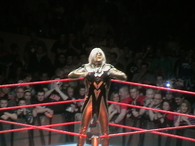 File:Goldust2009.JPG