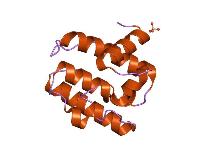 File:PDB 1ueg EBI.jpg