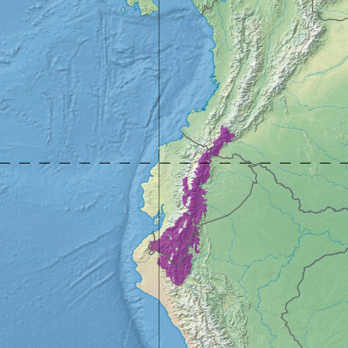 File:Ecoregion NT0121.png