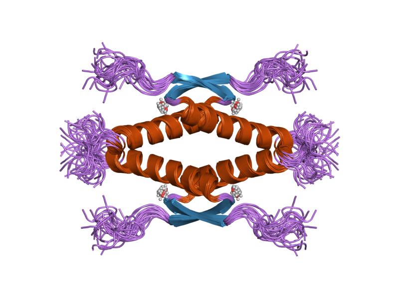 File:PDB 1saf EBI.jpg