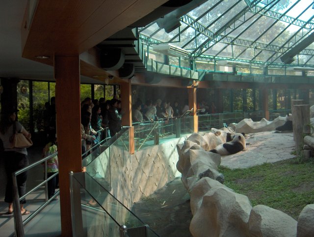 Файл:Panda enclosure at Chiang Mai zoo-KayEss-2.jpeg