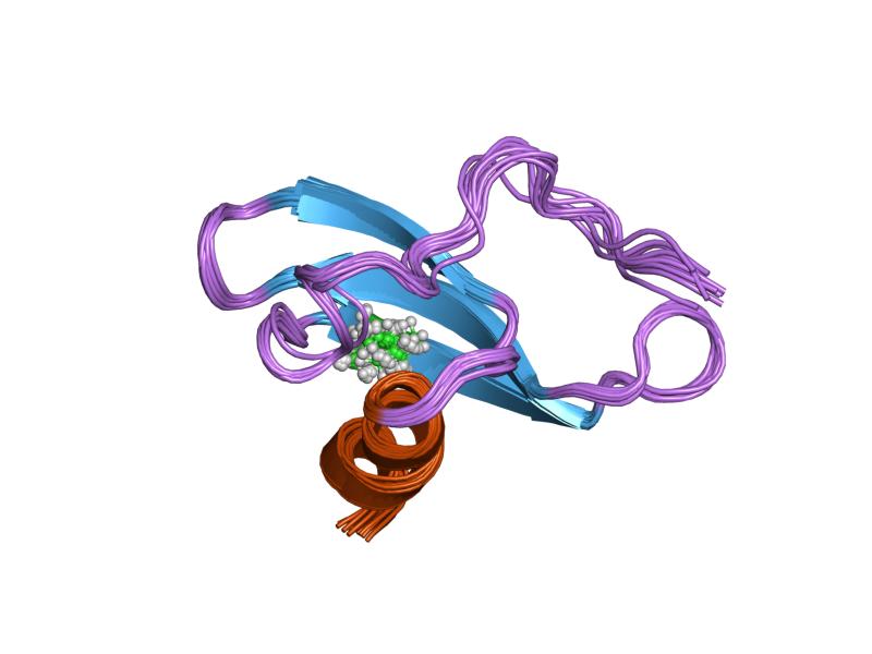 File:PDB 1lv9 EBI.jpg