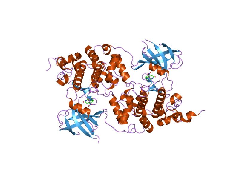 File:PDB 1q3w EBI.jpg