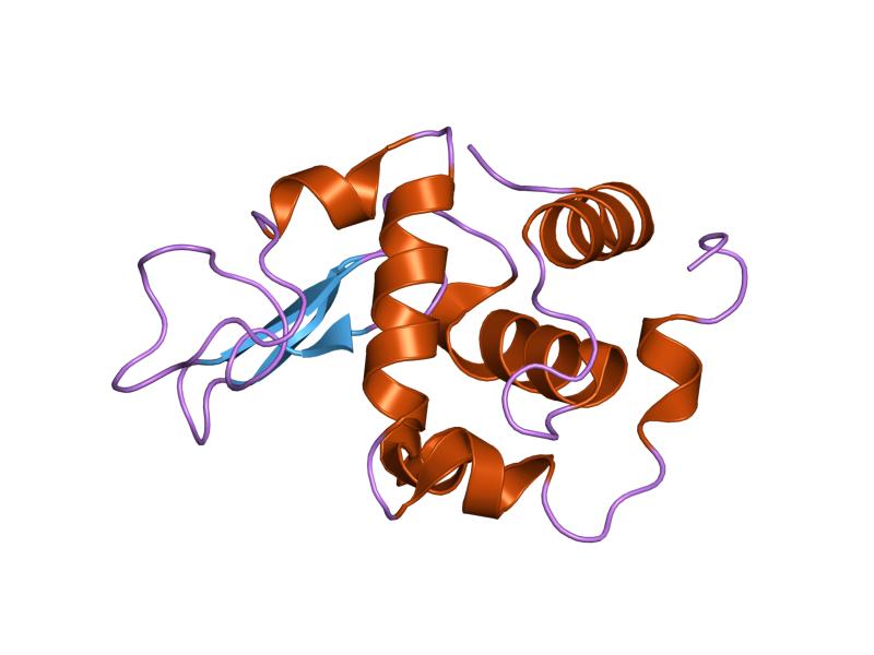 File:PDB 1eq4 EBI.jpg