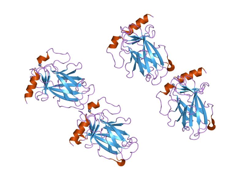 File:PDB 2ocj EBI.jpg