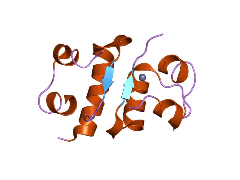 File:PDB 1jca EBI.jpg