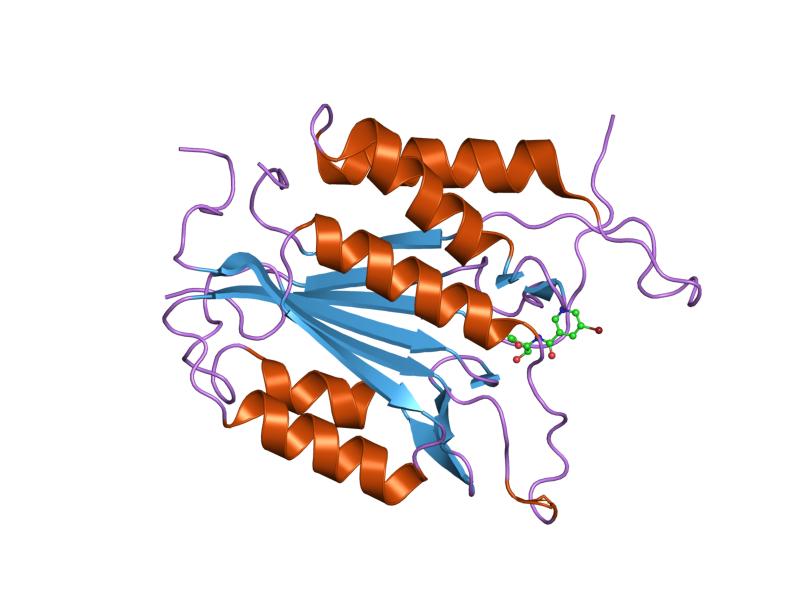 File:PDB 1re1 EBI.jpg