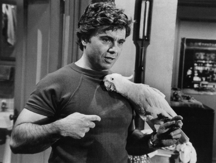 File:Robert Blake Baretta and Fred 1976.JPG