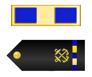 Файл:USN - CWO1 insignia.png