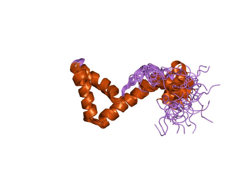 File:PDB 1l8y EBI.jpg