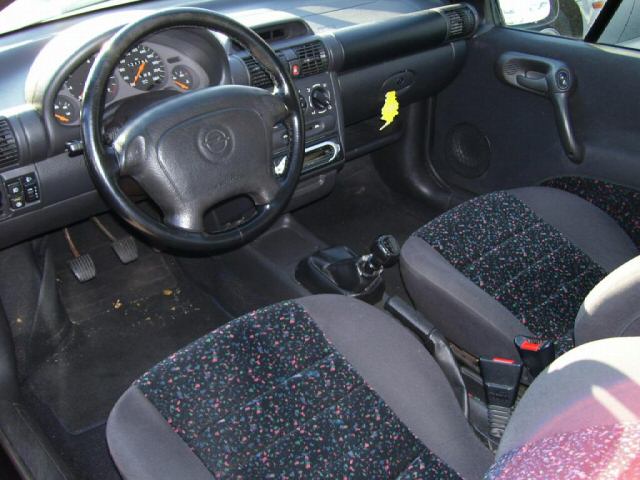 Archivo:Tigra interior.jpg