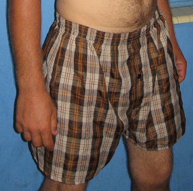 Archivo:BoxerShorts-20070901.jpg