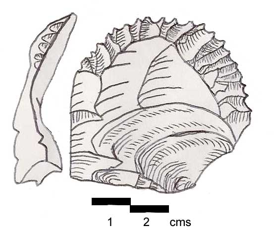 Файл:Ksar-Akil-Flake2.jpg