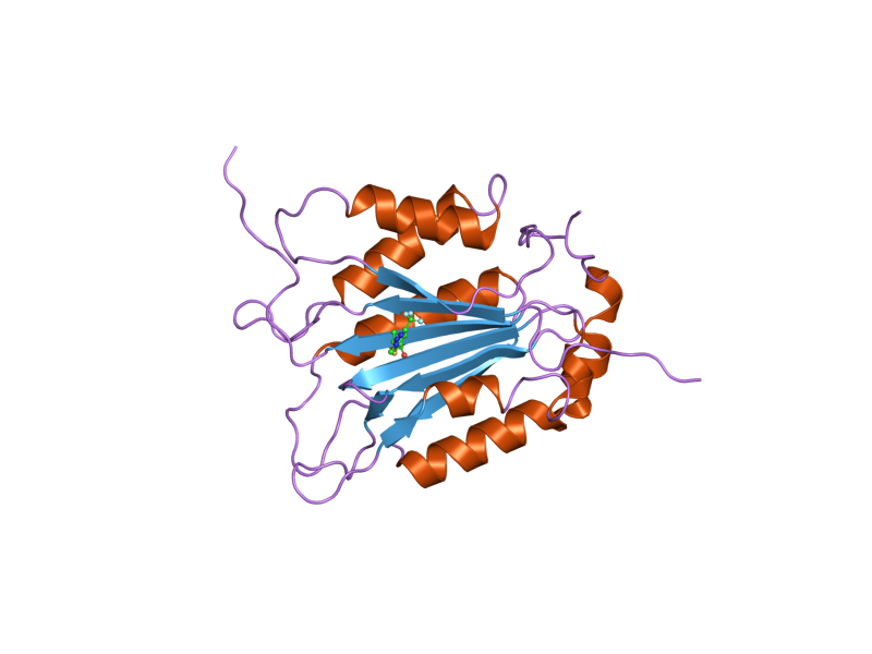 File:PDB 2fqq EBI.png