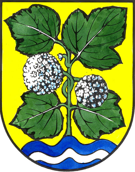 File:Zvikovec RO CZ CoA.jpg