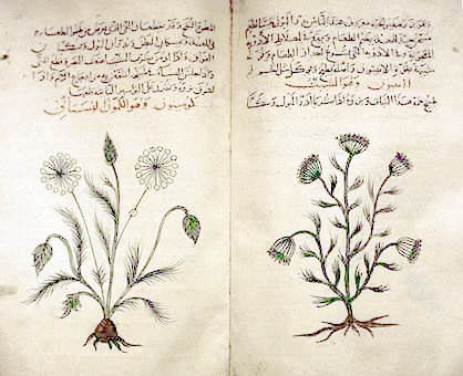 Файл:Arabic herbal medicine guidebook.jpeg