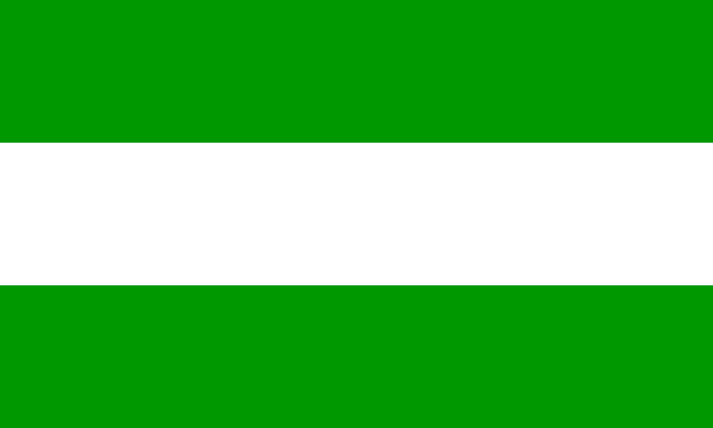 Archivo:Bandera de Tarapoto.png