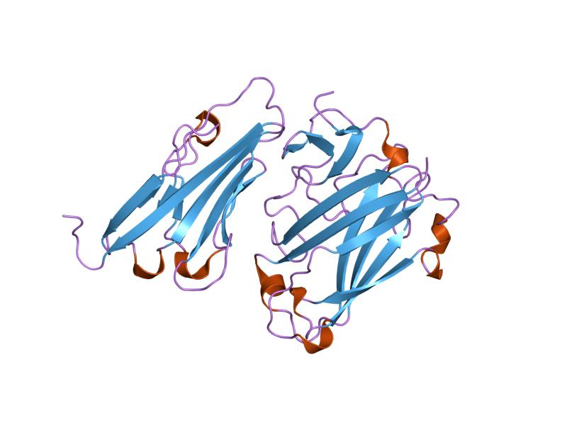 File:PDB 1p6a EBI.jpg