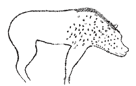 File:Crocuta crocuta cave art - Chauvet cave.png