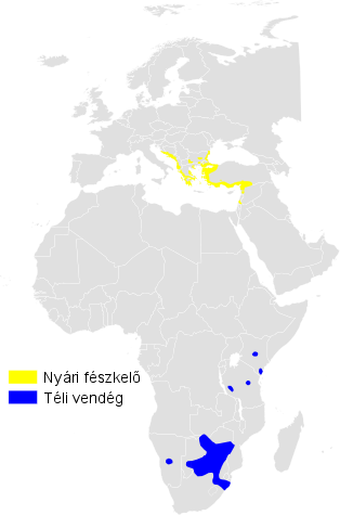 Файл:Hippolais olivetorum distribution map.png